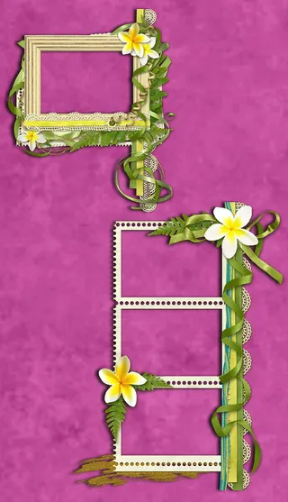 两款清新淡雅的花草装饰边框png素...