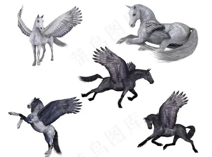 飞马图片