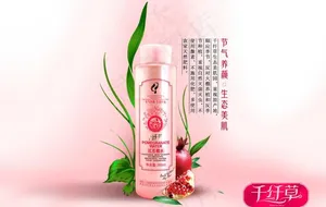 千纤草图片