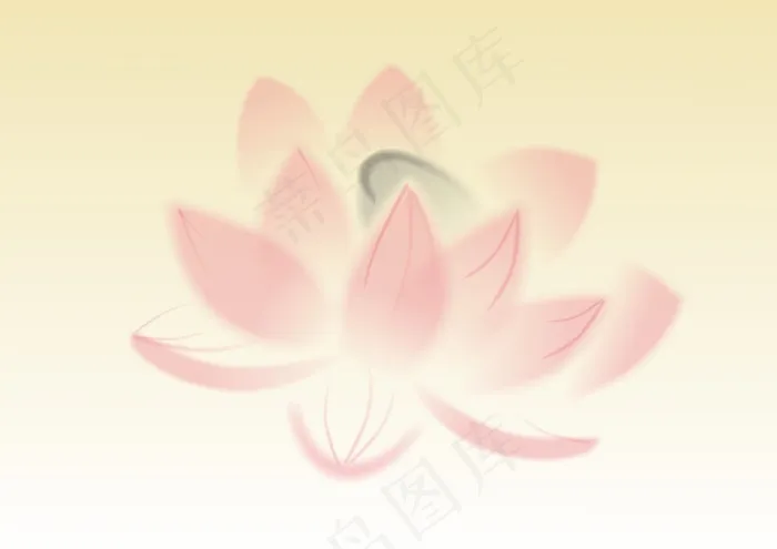 国画 荷花花瓣