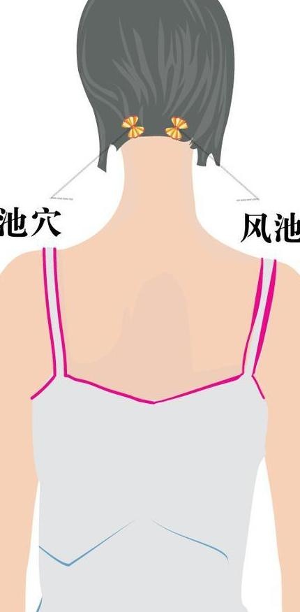 按摩穴位图片ai矢量模版下载