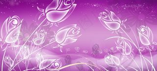 浪漫白色玫瑰背景图片