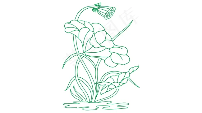 荷花矢量图图片