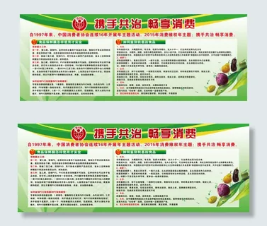 2015年携手共治 畅想消费