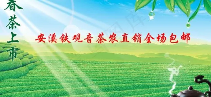 春茶上市图片