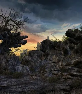 梦幻世界 枯树图片 梦幻世界 枯树图片