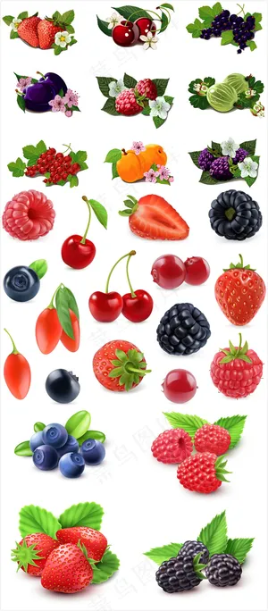 手绘水果矢量图