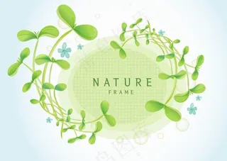 韩国花卉植物矢量AI素材03