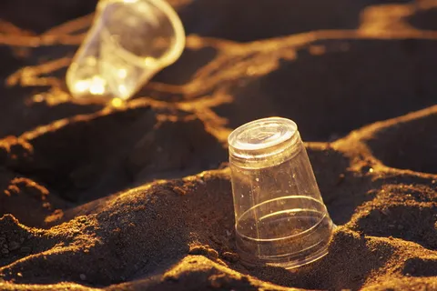 海滩上的杯子图片