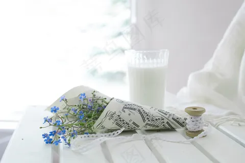 简约小清新文艺风插花静物摆拍背景