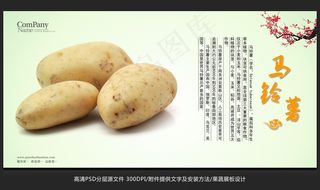 蔬菜展板设计马铃薯海报招贴广告设计