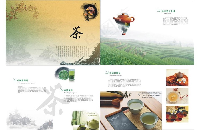 茶叶画册图片