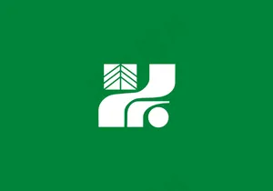 木剪贴画国旗