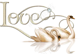 免抠png图片ps素材天鹅