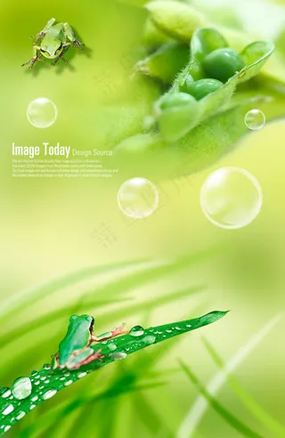 高清PSD分层素材青蛙高唱