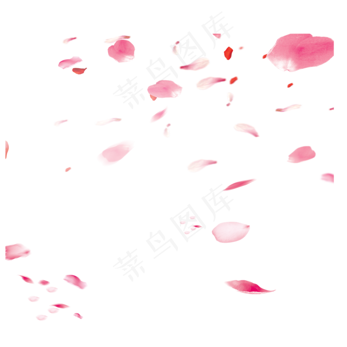 花瓣  漂浮元素