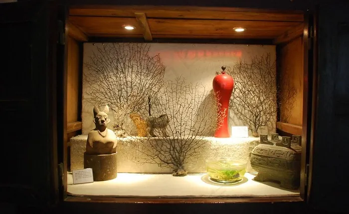 灯光下的展品图片