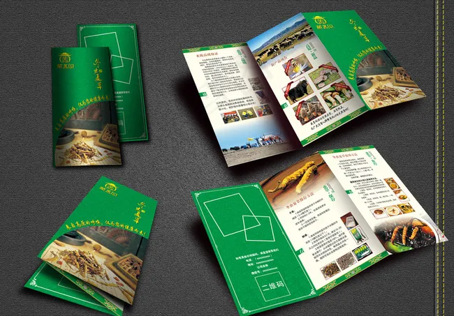 冬虫夏草三折页效果图图片psd模版下载