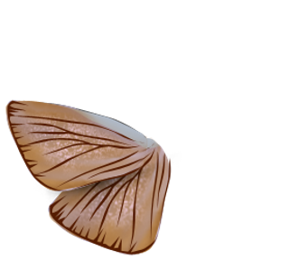 可爱儿童相册ae模板