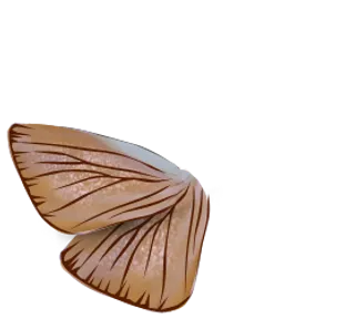 可爱儿童相册ae模板