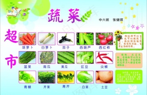 小学生板报图片