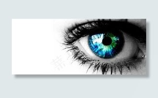 漂亮的彩色眼免费矢量