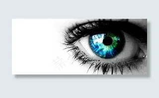 漂亮的彩色眼免费矢量