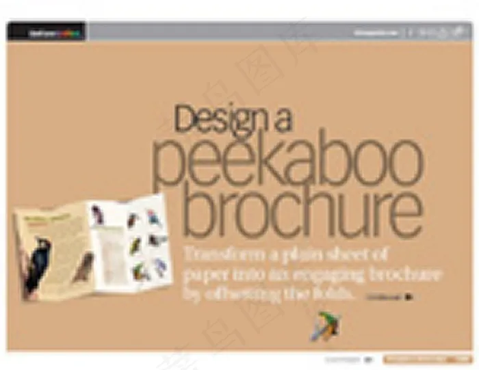 宣传单张设计技巧ai矢量模版下载