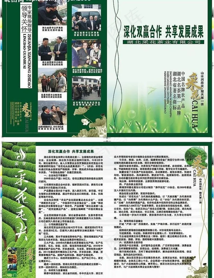 茶叶dm设计图片cdr矢量模版下载