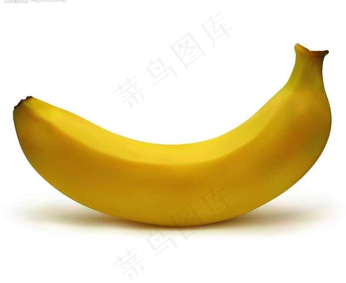 ai绘制的逼真香蕉图片ai矢量模版下载