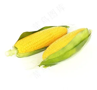 玉米三维模型图片