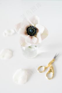 简约小清新文艺风插花静物摆拍背景