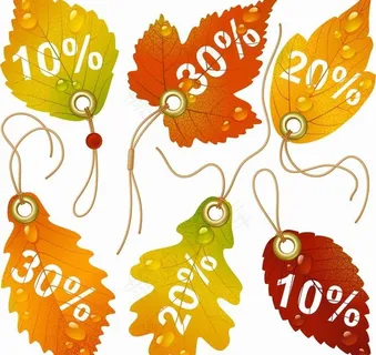 枫叶销售吊牌图片