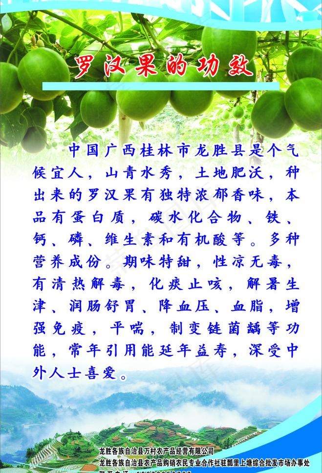 罗汉果的功效图片(210X297)cdr矢量模版下载