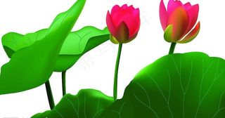 ai手绘荷花图片