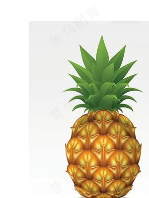 菠萝矢量素材