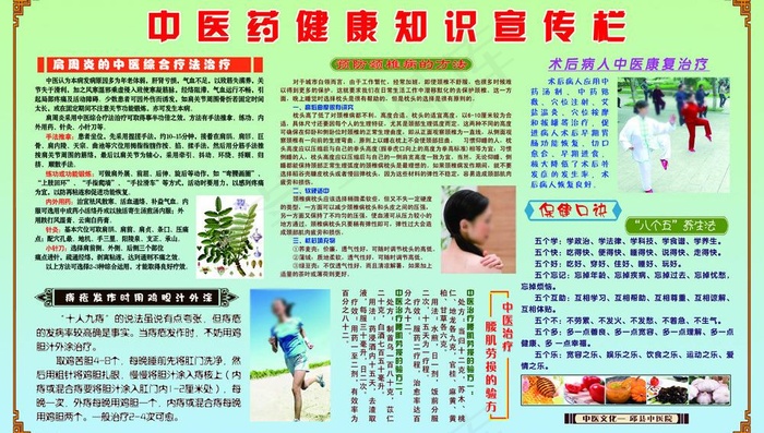 中医药健康知识宣传栏图片
