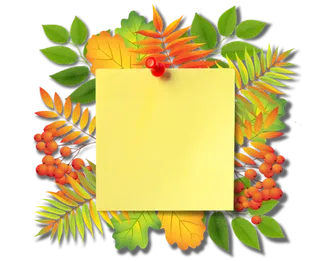 秋天边框素材免抠