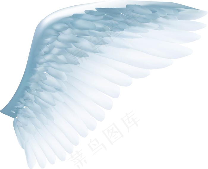 淡蓝色羽毛翅膀