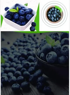 蓝莓