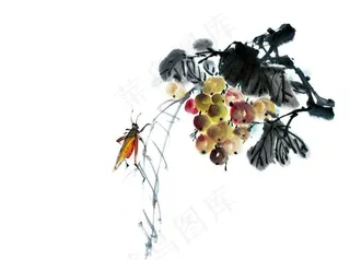 水墨昆虫6图片