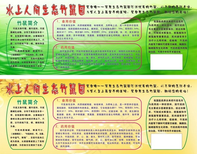 水上人间cdr矢量模版下载