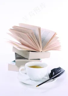 书籍 翻动的书图片