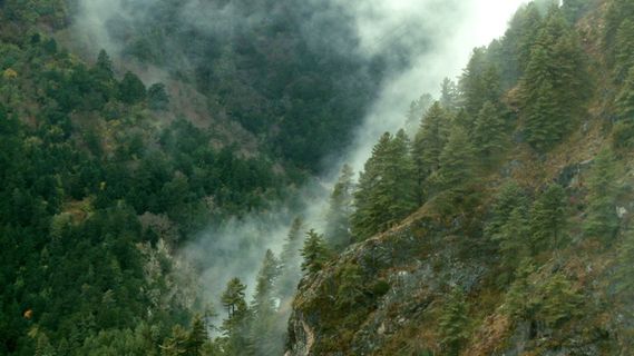 云移动通过股票视频山 云移动通过股票视频山