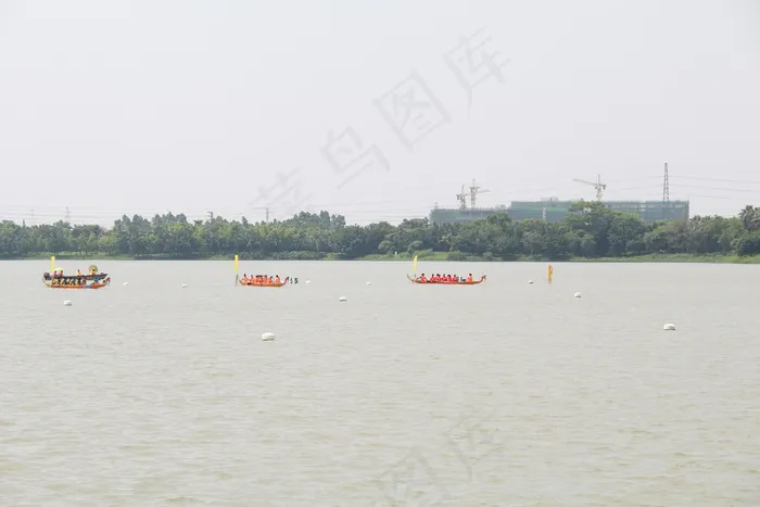 端午赛龙舟图片