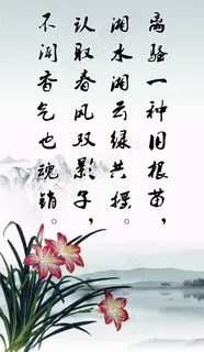 兰花模板下载 兰花模板下载
