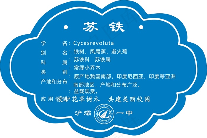 苏铁cdr矢量模版下载
