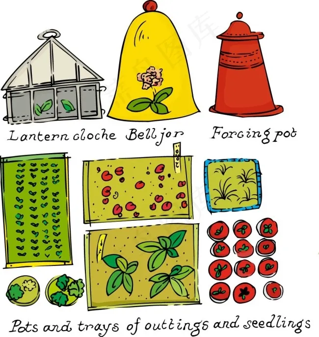 农作物ai矢量模版下载