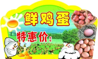 鲜鸡蛋吊牌图片