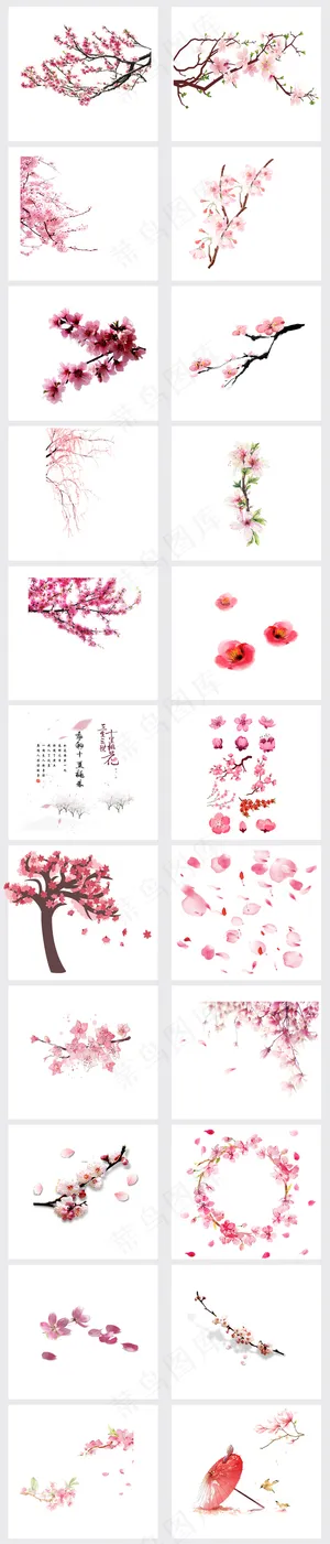 春天浪漫粉红色桃花梅花樱花花朵图片...